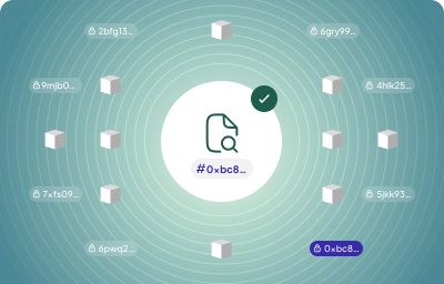 The PDF hash is found on the blockchain